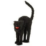 Light and sound black cat