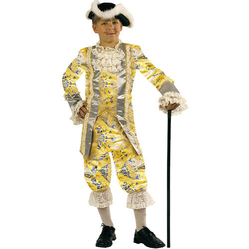 Elegant baron child costume