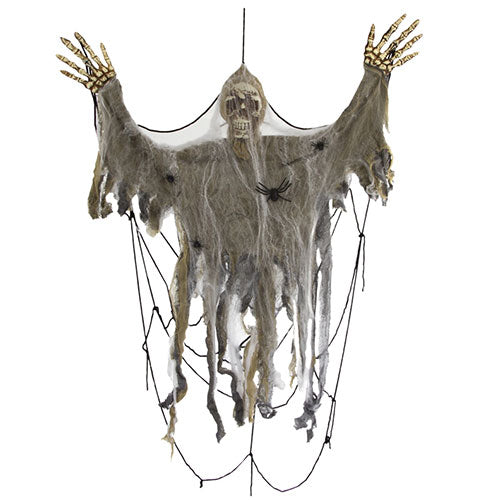 Victime d'une araignée